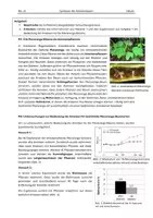 Vorschau - Stundenentwürfe - Arbeitsteilige Erarbeitung der Symbiose zw. Ameisenbaum und Ameise - Seite 1
