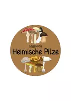 Vorschau - Stationenlernen - Heimische Pilze - Pilzsorten - Legekreis - Seite 1