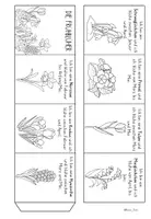 Vorschau - Mal- und Bastelvorlagen - Kostenlos: Leporello mit Frühblühern (Sachunterricht, Klasse 1, 2, 3, 4) - Seite 2