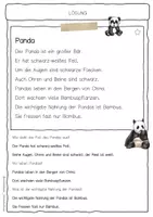 Vorschau - Arbeitsblätter - Sachtext Panda - Seite 2