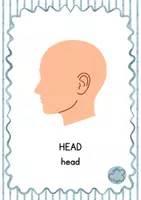 Vista previa - Tarjetas / Manipulativos - BODY - Flashcards de vocabulario en inglés - página 3