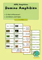 Vorschau - Spiele - Amphibien Domino - 3fach differenziert - Deckblatt