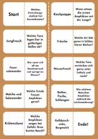 Vorschau - Spiele - Amphibien Domino - 3fach differenziert - Seite 3