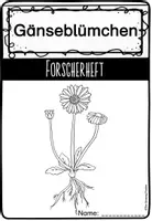 Vorschau - Arbeitsblätter - Gänseblümchen - Forscherheft bzw. Wissensheft - Seite 2
