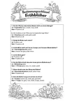 Vorschau - Stationenlernen - Herbarium Frühblüher: Frühblüher bestimmen (Bestimmungsschlüssel, Steckbrief & Herbarium) - Seite 1