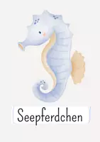 Vorschau - Bildkarten - Bildkarten Unterwasserwelt - Seite 3