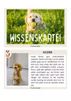Vorschau - Bildkarten - Haustiere: Lerntheke/ Wissenskartei - Seite 3