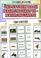 Vorschau - Arbeitsblätter - Nahrungskette & Nahrungsnetz Bach – Ökosystem Unterricht Biologie Sekundarstufe - Deckblatt