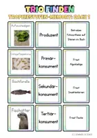 Vorschau - Arbeitsblätter - Ökosysteme Unterricht Biologie – Materialpaket Nahrungsketten & Nahrungsnetze - Seite 1