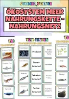 Vorschau - Arbeitsblätter - Nahrungskette & Nahrungsnetz Meer – Ökosystem Ozean Biologie Unterricht - Deckblatt
