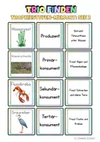 Vorschau - Mal- und Bastelvorlagen - Nahrungskette & Nahrungsnetz See – Ökosystem Biologie Unterrichtsmaterial - Seite 3
