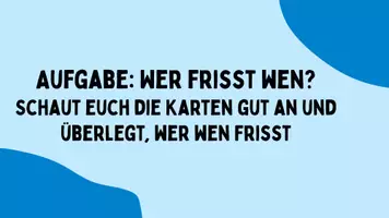 Vorschau - Stundenentwürfe - Ökosystem See Unterricht Biologie – komplette Stunde Unterrichtsstunde Nahrungskette Nahrungsnetz Nahrungsbeziehungen - Seite 3