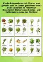 Vorschau - Bildkarten - Kräuter Bildkarten für Kinder – Küchen- & Heilkräuter kennenlernen | Naturpädagogik & Sachunterricht - Seite 1