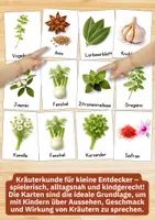 Vorschau - Bildkarten - Kräuter Bildkarten für Kinder – Küchen- & Heilkräuter kennenlernen | Naturpädagogik & Sachunterricht - Seite 3