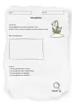 Vorschau - Arbeitsblätter - Frühblüher: Schneeglöckchen kennenlernen - Deckblatt