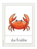 Vorschau - Bildkarten - Bildkarten Unterwassertiere - Seite 1