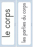 Vorschau - Präsentationen/Tafelbilder - Tafelmaterial le corps/ les parties du corps - Seite 2