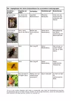 Vorschau - Arbeitsblätter - Evolution - Wachsendes Materialpaket - Seite 3