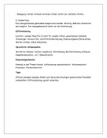 Vorschau - Stundenentwürfe - Gib mir 5 - Herbst - Wortschatzspiel - Sprachförderung - Vertretungsstunden - Seite 2