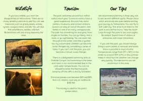 Vorschau - Arbeitsblätter - Yellowstone National Park: Reading and Writing - Seite 2