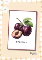 Voorbeeld - Fruit flashcards woordenschat oefenen & leren lezen - Pagina 1
