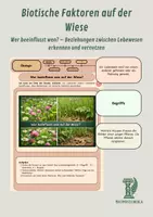 Vorschau - Stundenentwürfe - Biotische Faktoren auf der Wiese - Beziehungen zwischen Lebewesen erkennen und vernetzen - Deckblatt