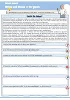Vorschau - Arbeitsblätter - Mitose und Meiose im Vergleich (Einführung / Phasen / Ablauf / Vergleich / Kreuzworträtsel / Biologie) - Seite 3