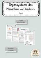 Vorschau - Unterrichtsreihen - Materialpaket: Mit Alien Zog durch den menschlichen Körper – Organsysteme entdecken (Arbeitsblätter & Präsentation) - Seite 1