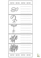 Voorbeeld - Levenscyclus planten en dieren | De klas van juf Reine - Pagina 1