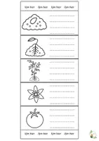 Voorbeeld - Levenscyclus planten en dieren | De klas van juf Reine - Pagina 3