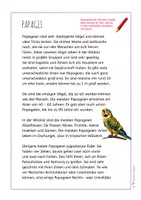 Vorschau - Arbeitsblätter - Papagei – Steckbrief & Infotext (Kl. 2–4) - Seite 3