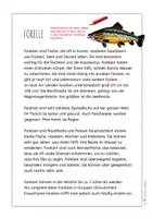 Vorschau - Arbeitsblätter - Forelle – Steckbrief & Infotext (Kl. 2–4) - Seite 3