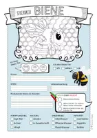 Vorschau - Arbeitsblätter - Nutztiere – 5 Steckbriefe & Infotexte (Kl. 2–4) - Seite 3