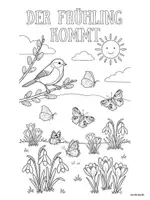 Vorschau - Arbeitsblätter - Ausmalbilder und Steckbriefe Frühling Frühblüher - Deckblatt