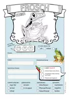 Vorschau - Arbeitsblätter - Frosch – Steckbrief & Infotext (Kl. 2–4) - Seite 2