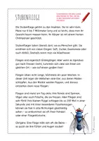 Vorschau - Arbeitsblätter - Stubenfliege – Steckbrief & Infotext (Kl. 2–4) - Seite 3