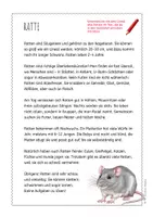 Vorschau - Arbeitsblätter - Ratte – Steckbrief & Infotext (Kl. 2–4) - Seite 3