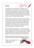 Vorschau - Arbeitsblätter - Mücke – Steckbrief & Infotext (Kl. 2–4) - Seite 3