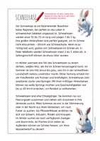 Vorschau - Arbeitsblätter - Schneehase – Steckbrief & Infotext (Kl. 2–4) - Seite 3