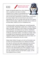 Vorschau - Arbeitsblätter - Robbe – Steckbrief & Infotext (Kl. 2–4) - Seite 3