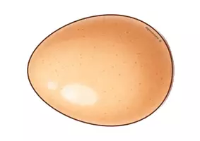 Vorschau - Arbeitsblätter - Sachunterricht „Vom Ei zum Huhn“ Klasse 1–2 – komplette Unterrichtseinheit (differenziert + Lösungen) - Seite 2