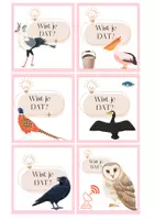 Voorbeeld - Wist-je-datjes thema vogels - Voorblad
