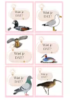 Voorbeeld - Wist-je-datjes thema vogels - Pagina 3