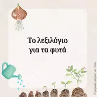 Προεπισκόπηση - Φύλλα εργασίας - Πακέτο υλικού για τα φυτά & κύκλο ζωής φυτών - Εξώφυλλο