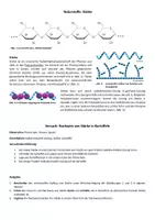 Vorschau - Arbeitsblätter - Naturstoffe: Aufbau von Stärke und Experiment zum Stärkenachweis - Seite 1