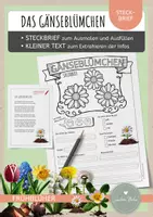Vorschau - Arbeitsblätter - Gänseblümchen – Steckbrief & Infotext (Kl. 2–4) - Deckblatt