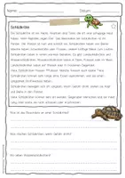 Vorschau - Arbeitsblätter - Sachtext Schildkröte - Seite 1