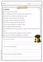 Vorschau - Arbeitsblätter - Sachtext Labrador - Seite 1