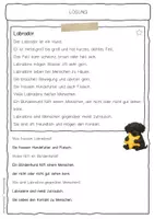 Vorschau - Arbeitsblätter - Sachtext Labrador - Seite 2