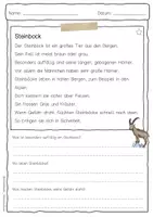 Vorschau - Arbeitsblätter - Sachtext Steinbock - Seite 1